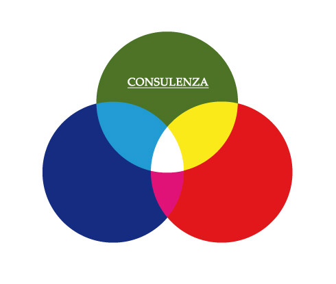 consulenza